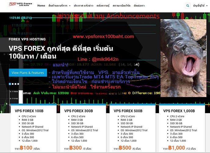 vpsforex100baht-moodeng